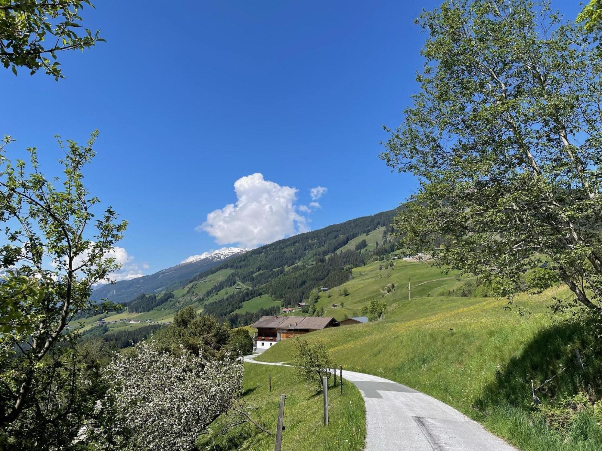 Holiday Flat Motzerngut, Mittersill Bagian luar foto